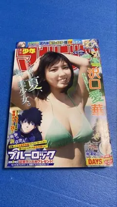週刊少年マガジン☆2004年12月8日号※井上和香、涼風・瀬尾公治、K-1