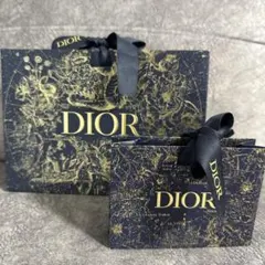 Dior 星座柄 ショップ袋セット 大小