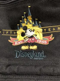 アメリカのディズニーランドで購入 当時50周年目のレアバッグ