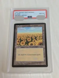 MTG APAC 平地 ひまわり 管理番号A - メルカリ