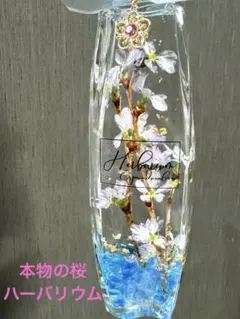 minmin様 リクエスト 2点 まとめ商品