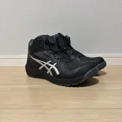 Item thumbnail for item cc2c67bf-451e-46e9-a303-c683734422d1