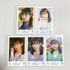 山本杏奈 ミニフォト ミニフォトカード vol 4 コンプ イコラブ