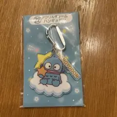 ハンギョドン アクリルキーホルダー