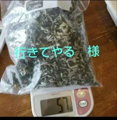 生きてやる様 リクエスト 2点 まとめ商品