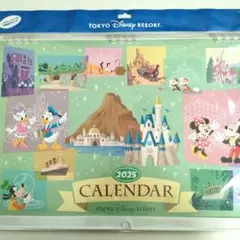 【新品未使用未開封】2025 TOKYO DISNEY RESORT カレンダー