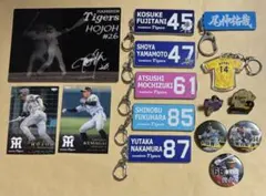 阪神 タイガース 小野泰己選手 グッズ まとめ売り (バラ売り可能