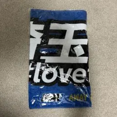 Item thumbnail for item de712af9-57e3-4cc6-b61c-a8aa16dedb33