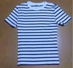 ZARA ストライプ Tシャツ Mサイズ　クロップド　ニット ボーダー