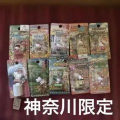 公*o様 ご当地ハローキティ ファスナーマスコット ストラップまとめ売り10個