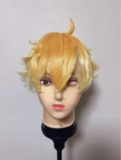 にじさんじ 卯月コウ コスプレ ウィッグ - メルカリ