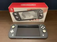 Nintendo Switch Lite ニンテンドースイッチライト グレー