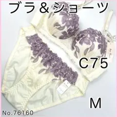 ブラジャーショーツセットC75 No.76160