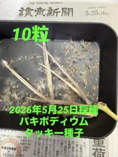 Super KCHSK様 リクエスト 2点 まとめ商品