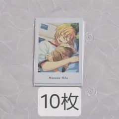 10枚　ぱしゃっつ　仁兎なずな