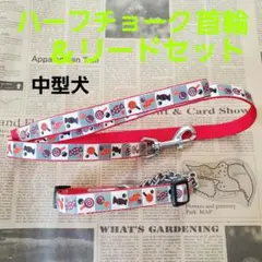 犬用 リード＆カラー ハーフチョークタイプ首輪&リードセット 飴 お菓子 中型犬のサムネイル