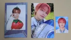 &TEAM シーグリ 2025 NICHOLAS（ニコラス）