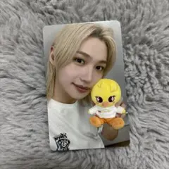 フィリックス　トレカ