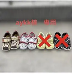 aykk様