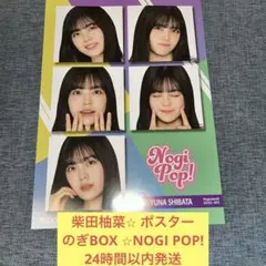 佐藤楓 ポスター のぎBOX NOGI POP! 乃木坂46 - メルカリ
