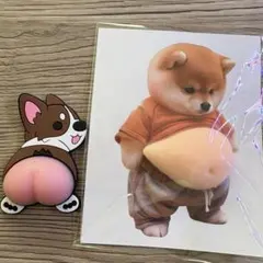 柴犬 コーギー おなかぷくぷくシール 3Dシール お腹ぷにぷにシール
