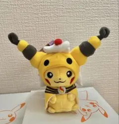 2026年最新】メガデンリュウのポンチョを着たピカチュウの人気アイテム