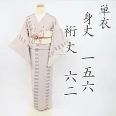 【単衣】小紋 縦縞幾何学 亀甲菊模様 ベージュ×赤茶 正絹 カジュアル 5KP3