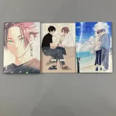 ブルーロック 比翼の鳥 凛冴 初回限定ブックケース付き