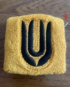 UNISON SQUARE GARDEN リストバンド