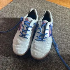 Item thumbnail for item 557974e3-9d37-4e99-9283-410c0081bd34