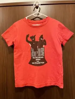 はなはな様 リクエスト 2点 まとめ商品