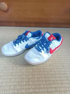 【希少品】NIKE DUNK LOW RETRO PRM FD4203-161