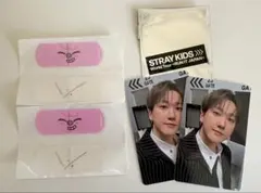 StrayKids スキズ RUNIT JAPAN 購入特典 トレカ チャンビン