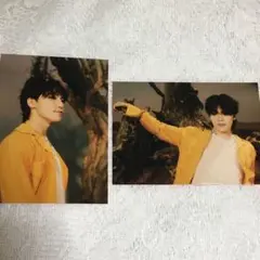 seventeen kit ray ディノ フォトカード