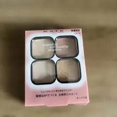 KATE ポッピングシルエットシャドウ EX-2