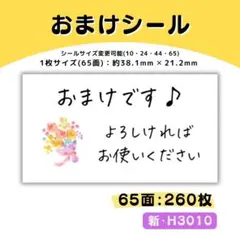 ●のんたろう様 H3010／H3004