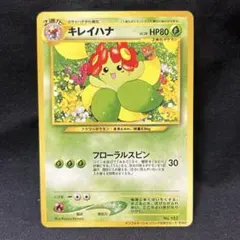 キレイハナ_インフォメーションパックおまけカードその2　おまけカード PROM…