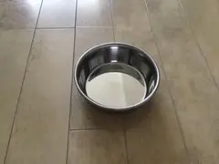 犬用食器　直径12cmのサムネイル