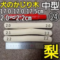 Item thumbnail for item 939ae01e-9267-481b-8d10-ddb0e894e450