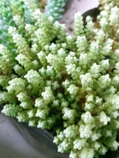 【複数点で値引きします！】Sa02様 リクエスト 8点 まとめ商品