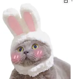 Item thumbnail for item a5a95353-fe3c-4e56-922e-89f91e5891b8