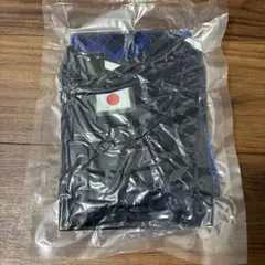 Item thumbnail for item b7794686-b9ba-4714-a11a-3788f2dc33c4