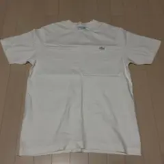 LACOSTE Tシャツ ホワイト