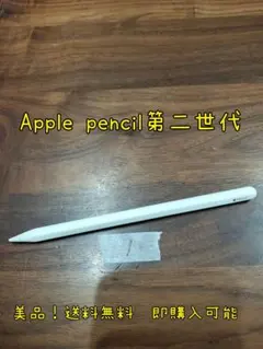 Apple pencil アップルペンシル 第2世代 A2051