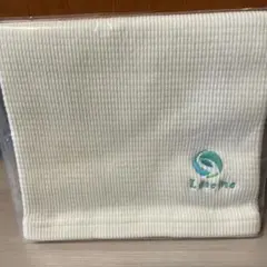 Item thumbnail for item 62d539b2-4e4c-4726-bfe9-fc7bbc6b22bd