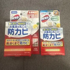 Item thumbnail for item 4b1663d6-2877-4726-b17b-3f3784df0b54