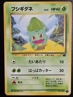フシギダネ イントロパック ポケモンカード 旧裏 - メルカリ