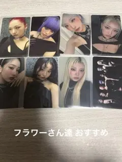 HANA◆アルバム トレカ Cセット 全8種 セット まとめ売り