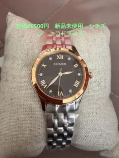 新品　 シチズン 腕時計　EM1016-62W レディースウォッチ　エコドライブ 新品 シチズン 腕時計 EM1016-62W レディースウォッチ エコドライブ