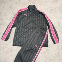 PUMA グレー/ピンク ジャージ上下セット SSサイズ